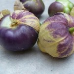 purple tomatillo
