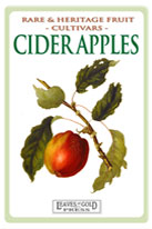 cider-apple-medium-th