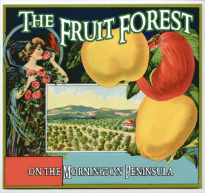 Old Fruit Forest logo