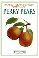 perrypears-th-medium