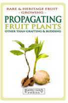 propagate-medium-th
