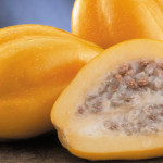 papaya2