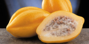 papaya2